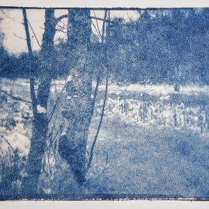 Cyanotype Printing Workshop